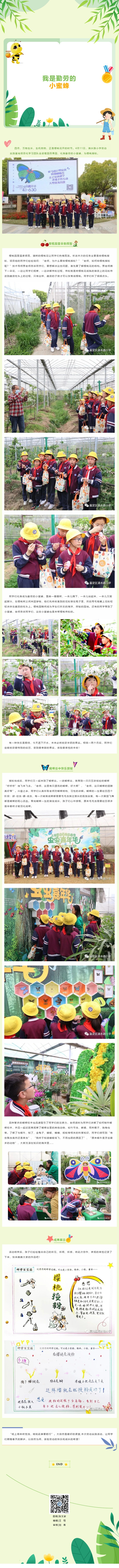 【关注︱樱桃花开好 授粉正当时——清水路小学劳动实践基地项目系列活动纪实（七）】.jpg