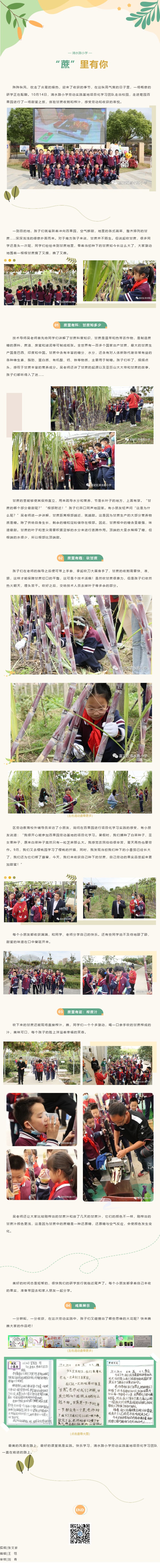 【关注｜“蔗”里有你 感受丰收喜悦 共赴甜蜜之旅——清水路小学劳动实践基地项目系列活动纪实（四）】.jpg